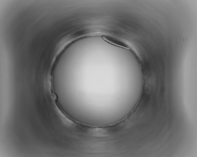 X0000111861476200908131449