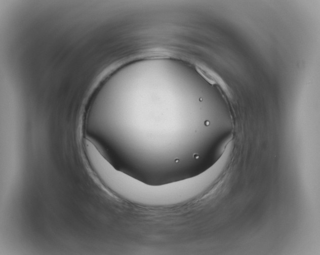 X0000111861477200908131449