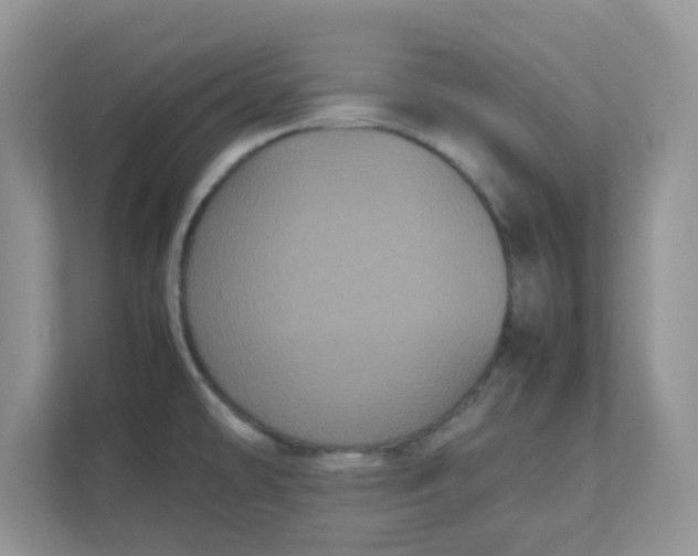 X0000111861478200908131449