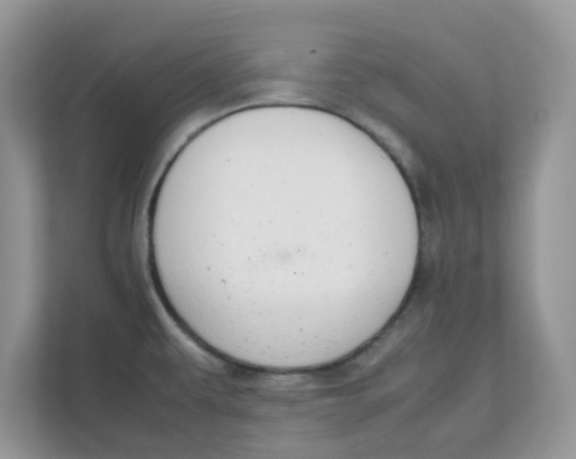 X0000111861479200908131449