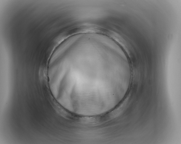 X0000111861481200908131449