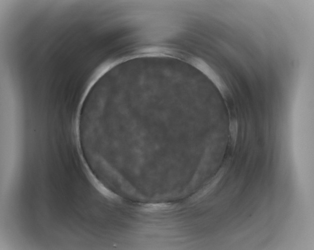 X0000111861482200908131449