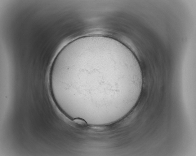 X0000111861483200908131449