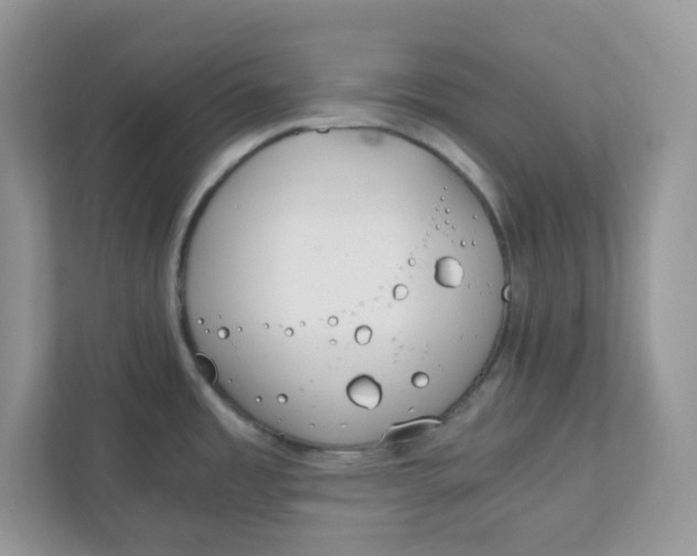 X0000111861485200908131449