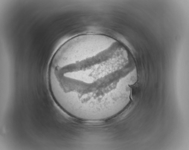 X0000111861487200908131449