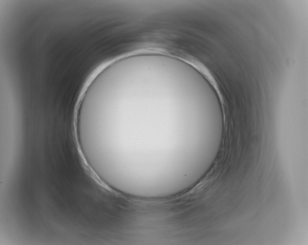 X0000111861488200908131449