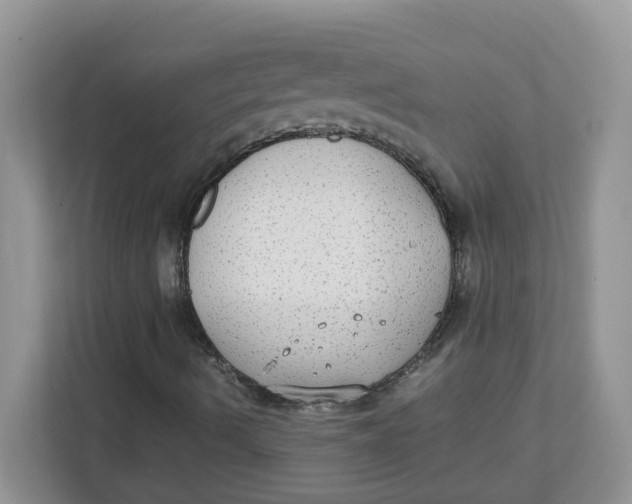 X0000111861490200908131448