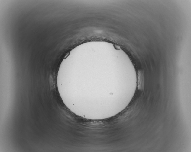 X0000111861491200908131448