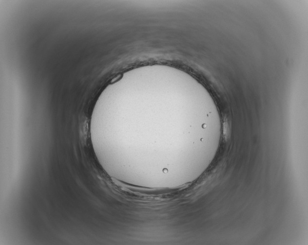 X0000111861492200908131448