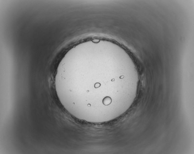 X0000111861495200908131448