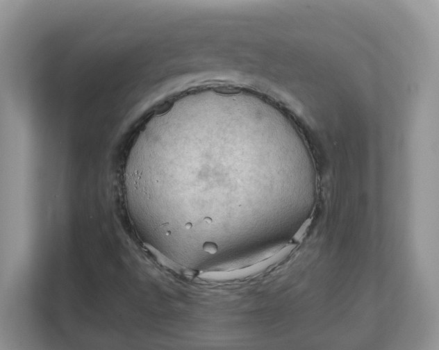 X0000111861496200908131448