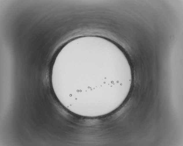 X0000111861498200908131448