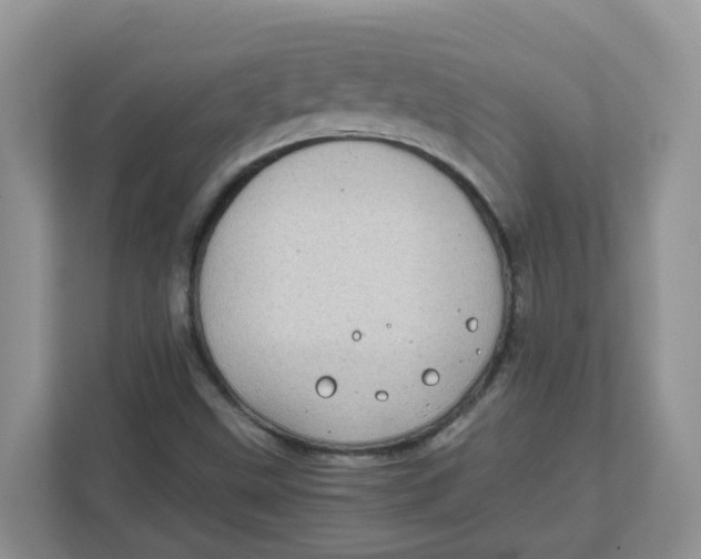 X0000111861499200908131448