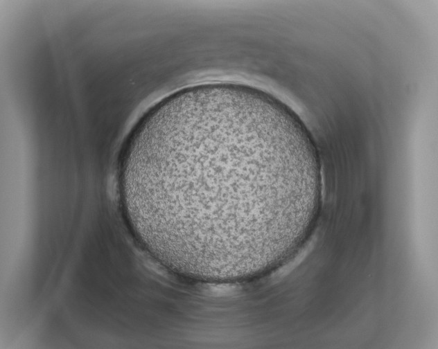 X0000111861501200908131448