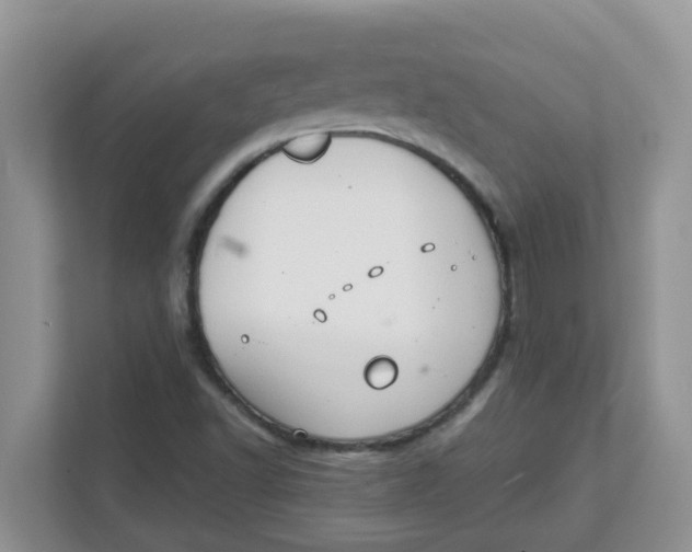 X0000111861502200908131449