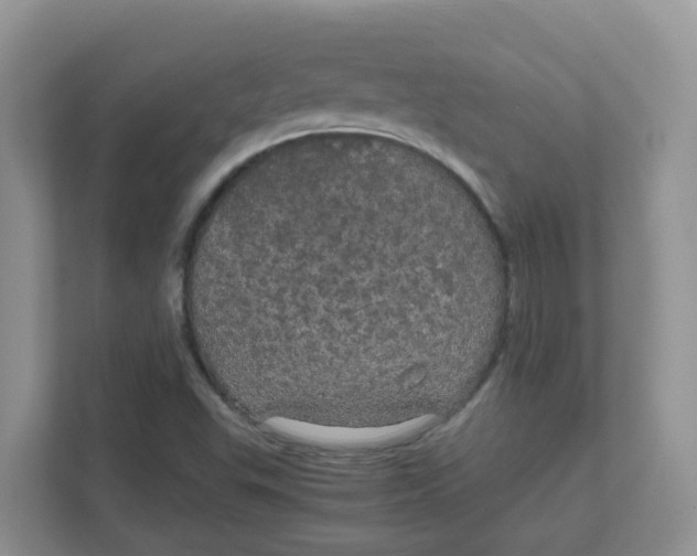 X0000111861503200908131449