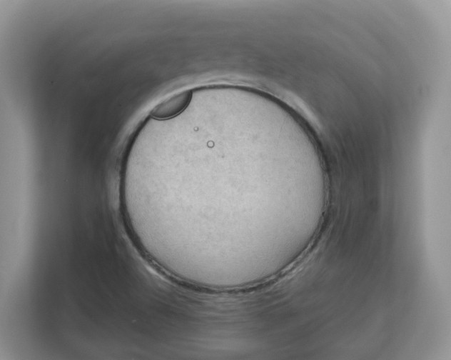 X0000111861504200908131449