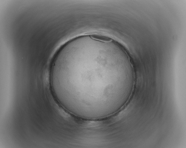 X0000111861506200908131449