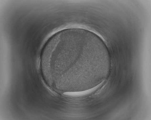 X0000111861507200908131449