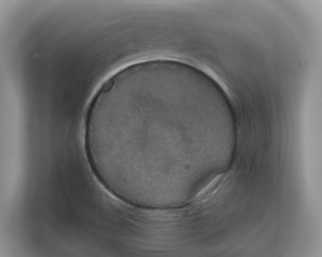 X0000111861508200908131449