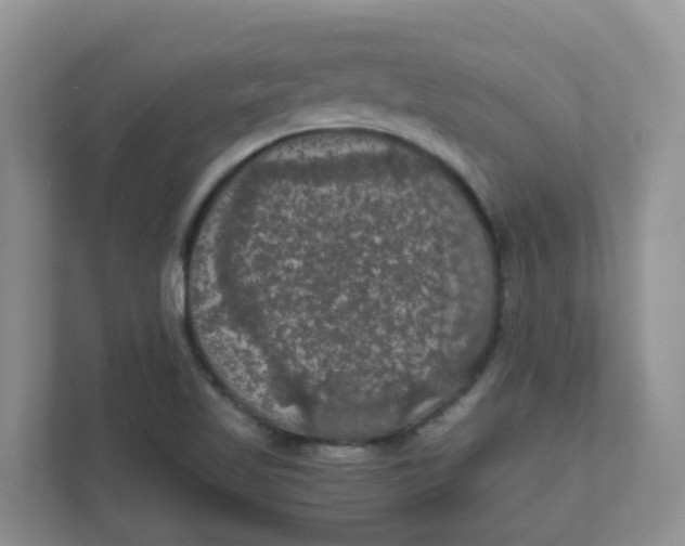 X0000111861509200908131449