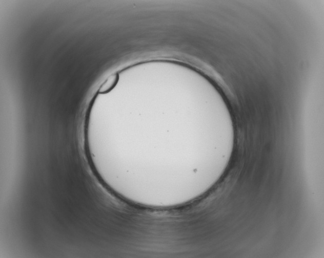 X0000111861512200908131449