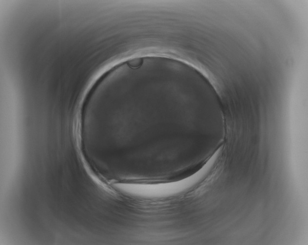 X0000111861515200908131449