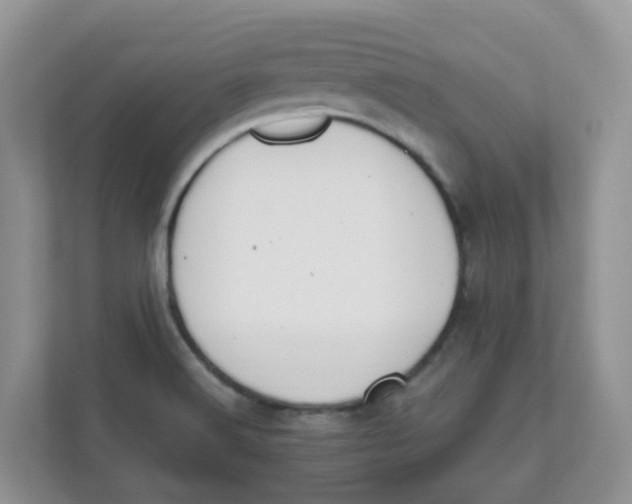 X0000111861516200908131449