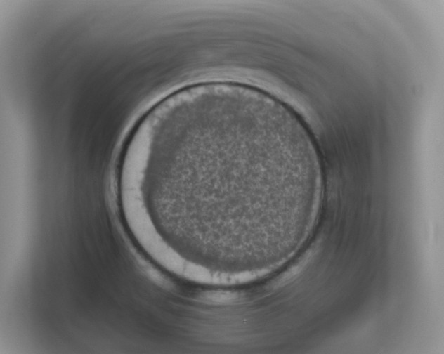 X0000111861517200908131449