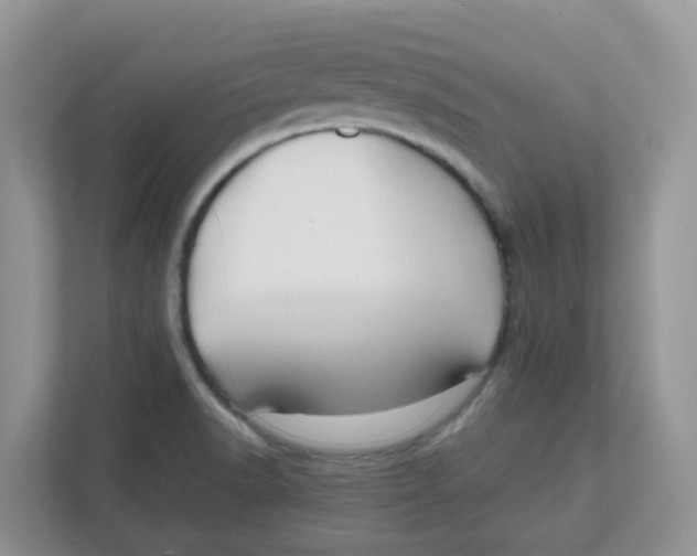 X0000111861518200908131449