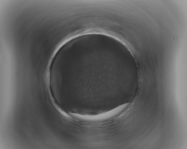 X0000111861519200908131449