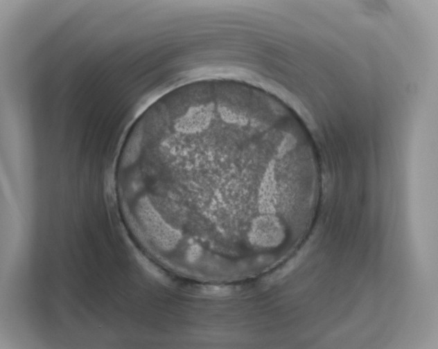 X0000111861521200908131449