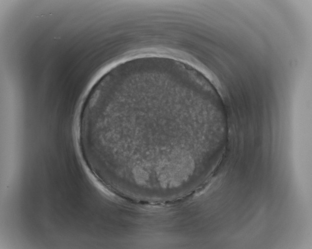 X0000111861523200908131449