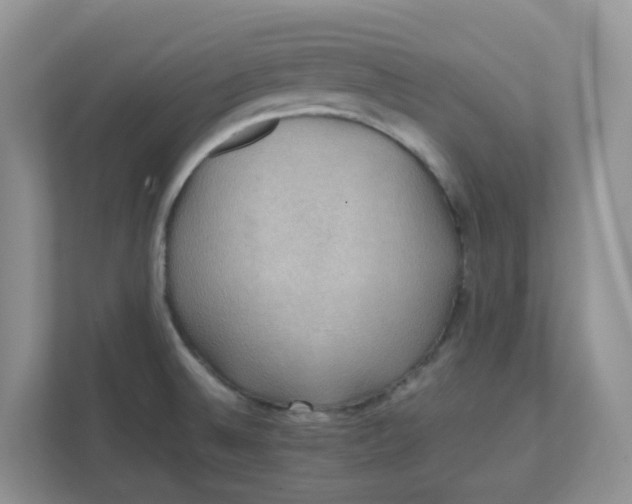 X0000111861524200908131449