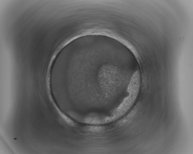 X0000111861525200908131449