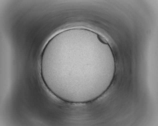 X0000111861526200908131449