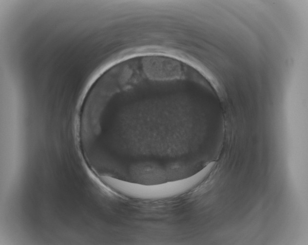 X0000111861527200908131449