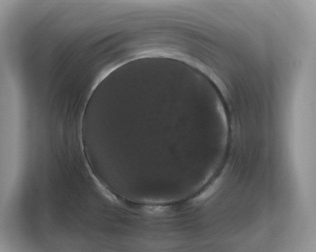 X0000111861529200908131449