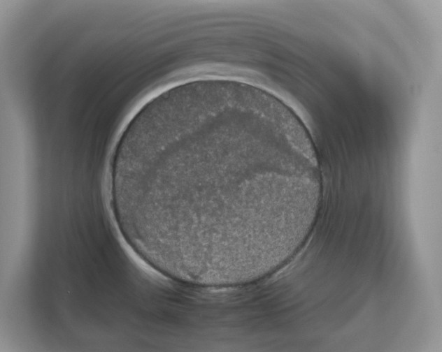 X0000111861531200908131449