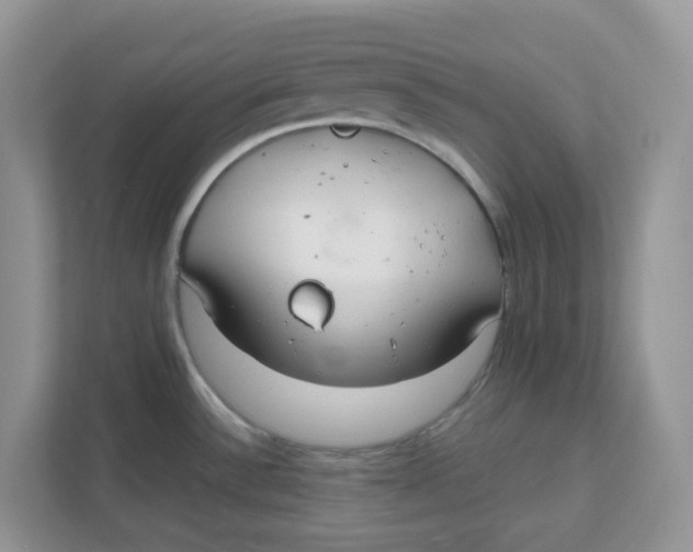 X0000111861532200908131449