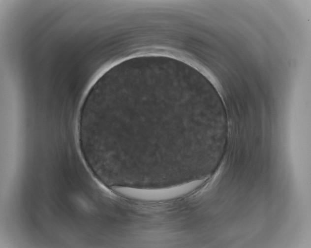 X0000111861533200908131449