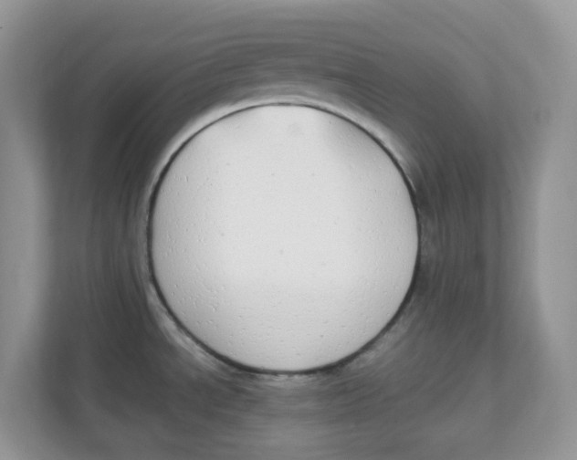 X0000111861534200908131449