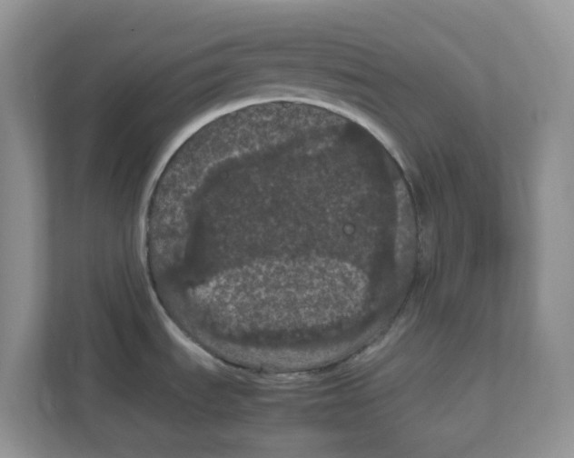 X0000111861535200908131449