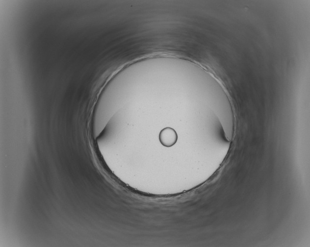 X0000111860001200908201307