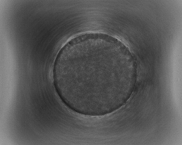 X0000111860002200908201307