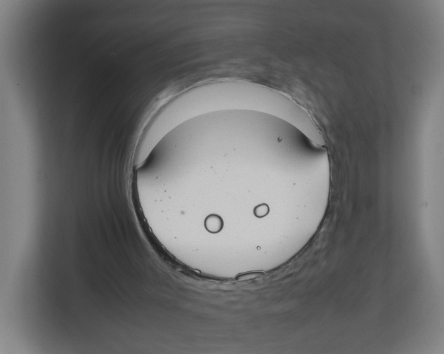 X0000111860003200908201307