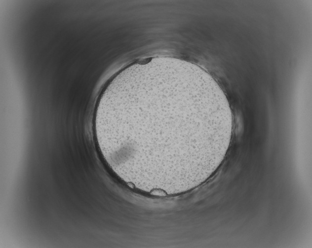 X0000111860004200908201307