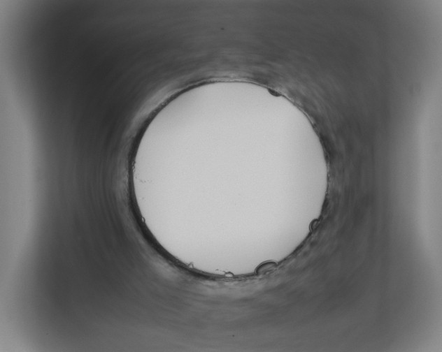 X0000111860005200908201307