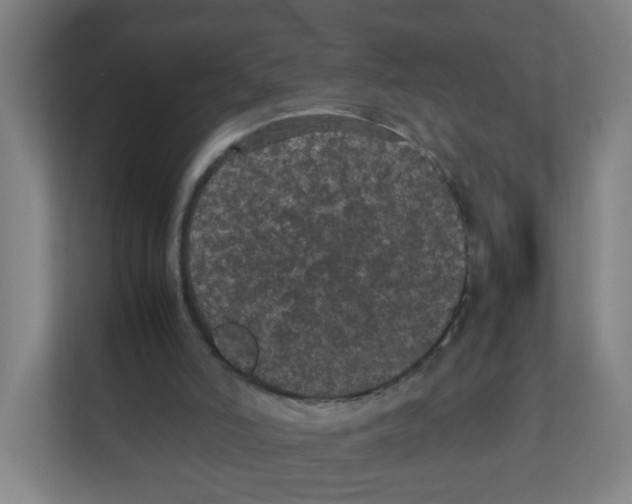 X0000111860006200908201307