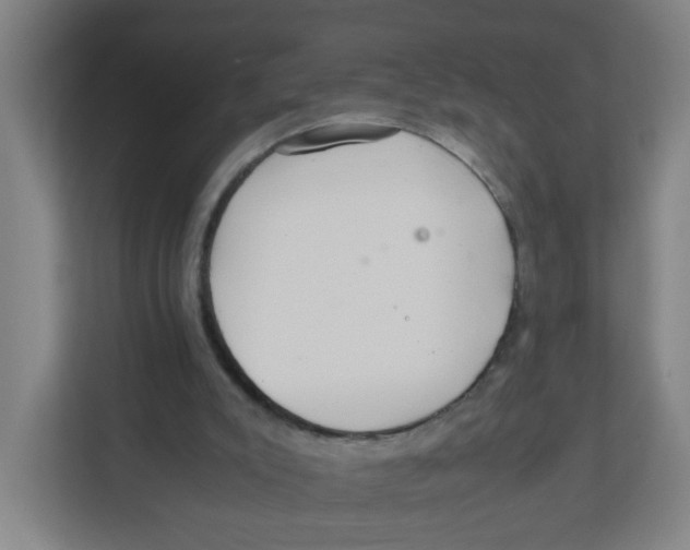 X0000111860007200908201307
